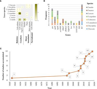 Genetic approaches in improving biotechnological production of taxanes: An update